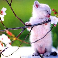 Схема вышивки «№713076»