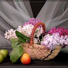 Схема вышивки «№713196»