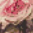 Предпросмотр схемы вышивки «Розы» (№713370)