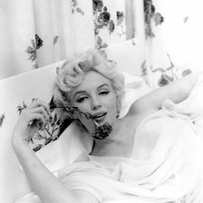 Схема вышивки «Монро»