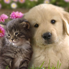 Схема вышивки «животные»