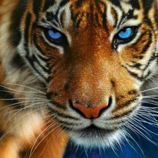 Схема вышивки «№713514»