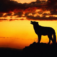 Схема вышивки «животные»