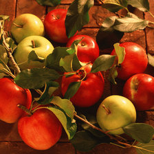 Схема вышивки «натюрморт»