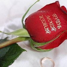 Схема вышивки «цветы»