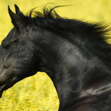 Схема вышивки «животные»