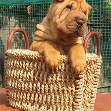 Схема вышивки «животные»