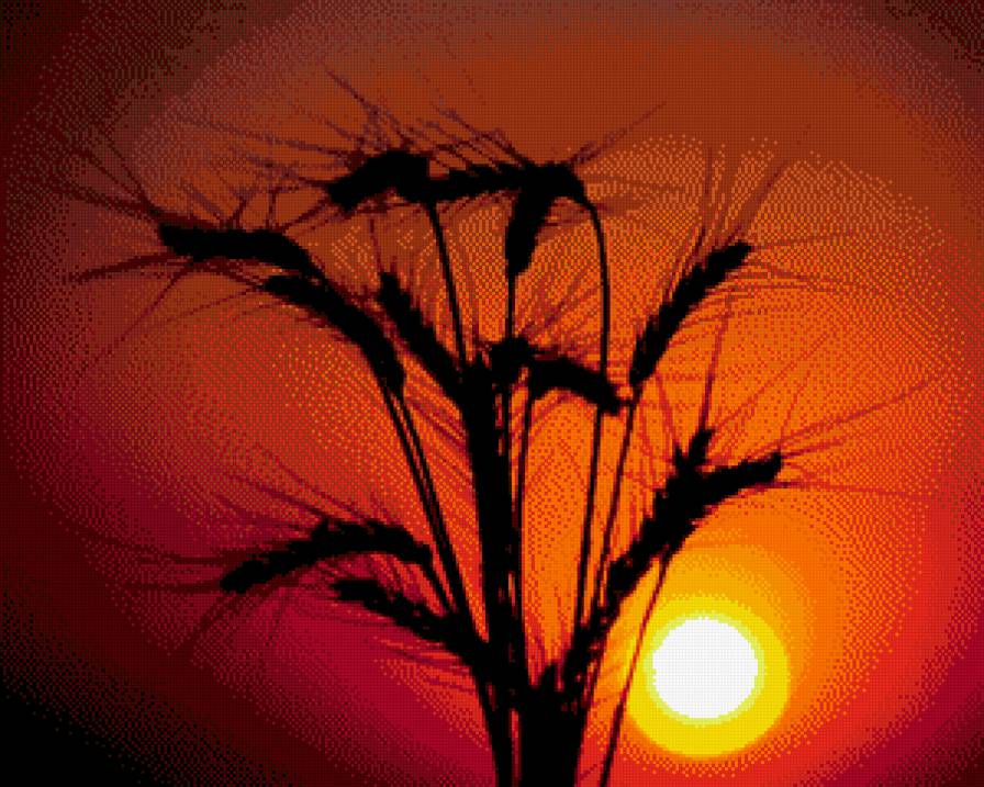 природа - предпросмотр