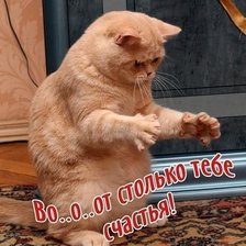 Схема вышивки «животные»