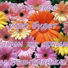 Схема вышивки «цветы»