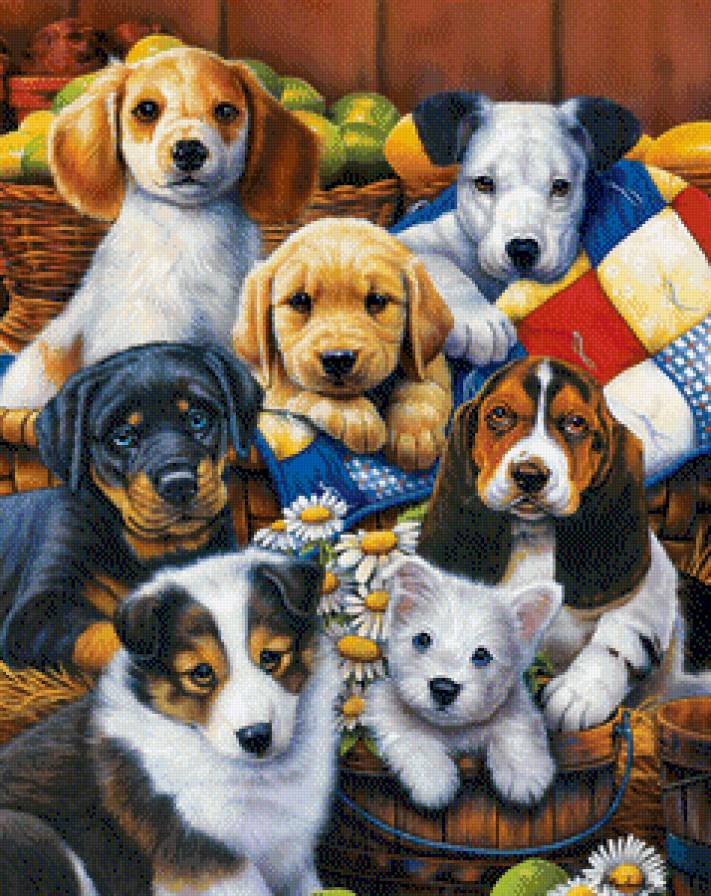 собачки - собаки - предпросмотр