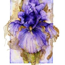 Схема вышивки «Ирис»