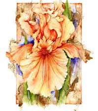 Схема вышивки «Ирис»