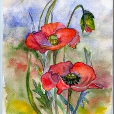 Схема вышивки «Маки полевые»