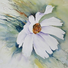 Схема вышивки «Космея»