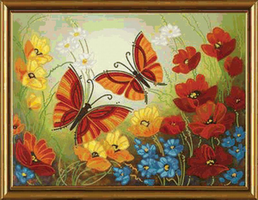 Бабочки - природа, бабочки - предпросмотр