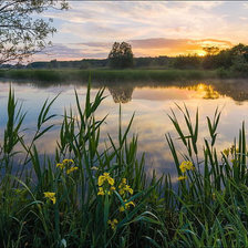 Схема вышивки «Восход»