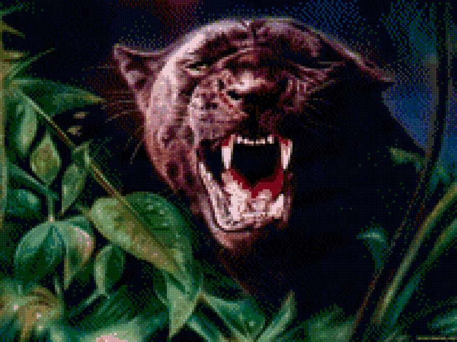 Пантера - природа, кошки, животные - предпросмотр