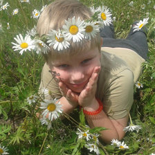 Схема вышивки «В ромашках»