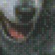 Предпросмотр схемы вышивки «Волк» (№714082)