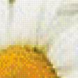 Предпросмотр схемы вышивки «Триптих ромашки 1» (№714206)