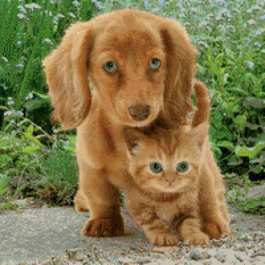 друзья - предпросмотр