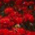 Предпросмотр схемы вышивки «Маки» (№714296)