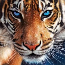 Схема вышивки «№714339»