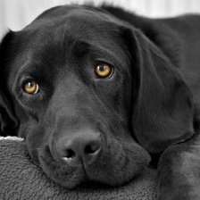 Схема вышивки «№714374»