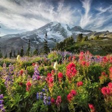 горный пейзаж