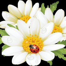 Схема вышивки «№714695»