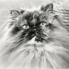 Схема вышивки «№714746»