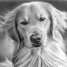 Схема вышивки «№714755»