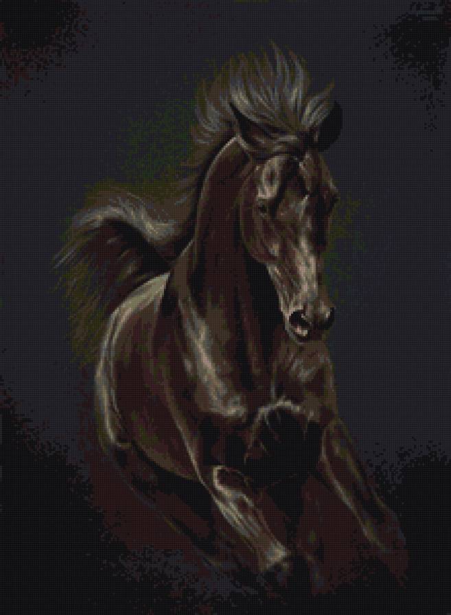 Черный огонь - конь - предпросмотр