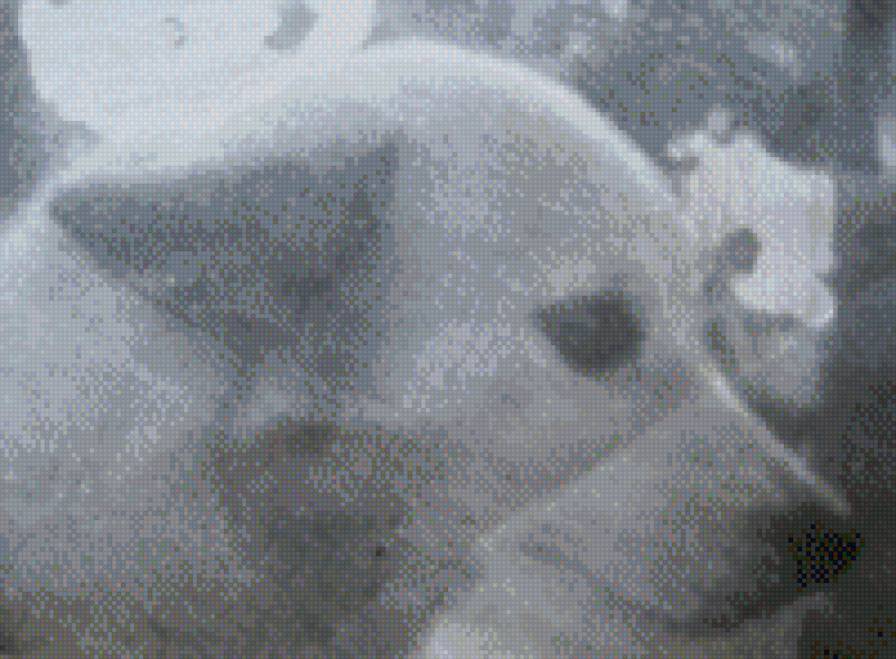 №714791 - предпросмотр