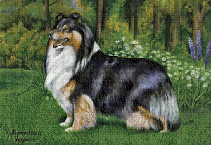 серия "собаки" - животные.собака - предпросмотр