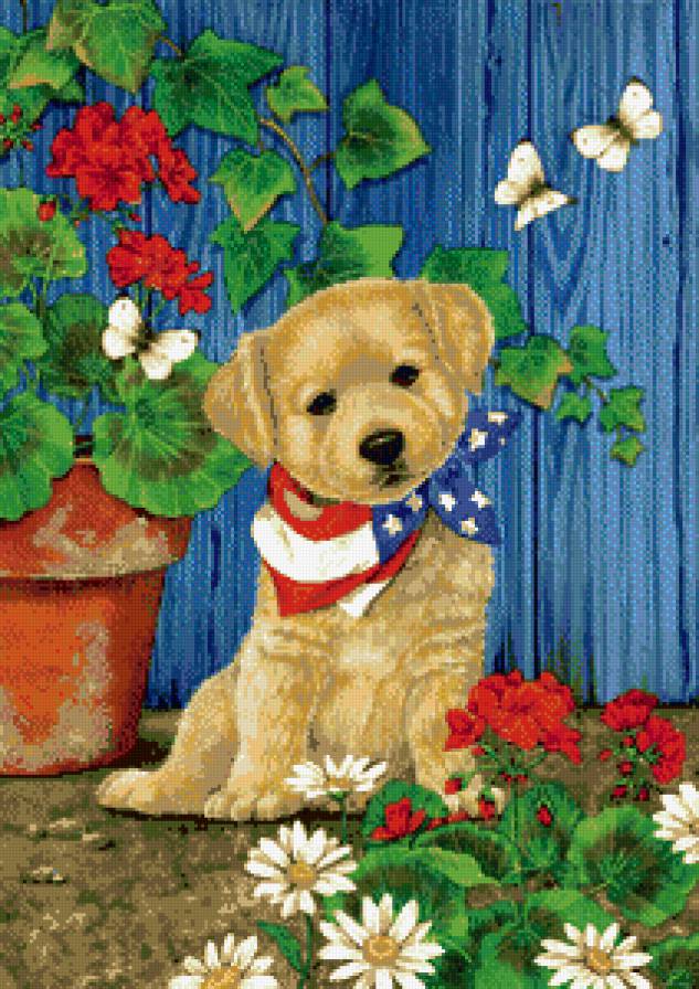 серия "собаки" - животные.собака - предпросмотр