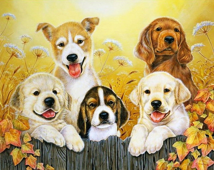 серия "собаки" - животные.собака - оригинал