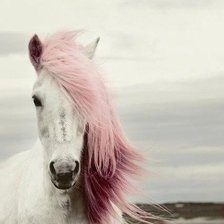 Схема вышивки «лошадь»