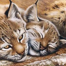 Схема вышивки «животные»