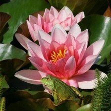 Схема вышивки «№715133»