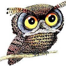 Схема вышивки «Совуля»