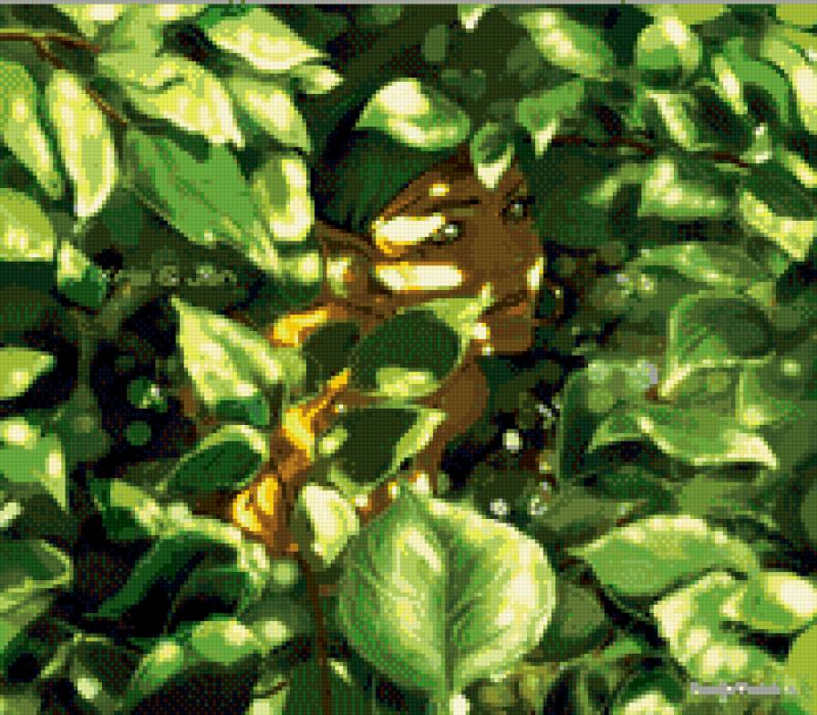 Nightfall - эльф, листья, зелень, elfquest, лесные всадники, ночная птица - предпросмотр