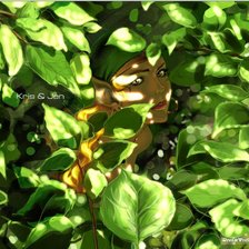 Схема вышивки «Nightfall»