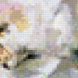 Предпросмотр схемы вышивки «№715298»