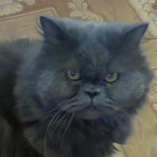 Схема вышивки «шнициль»