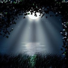 Схема вышивки «ночь»