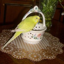 Схема вышивки «шурик»