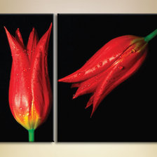 Схема вышивки «poli lalele»