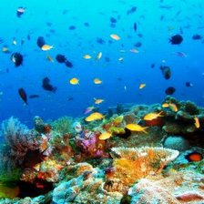 Схема вышивки «МОРЕ»